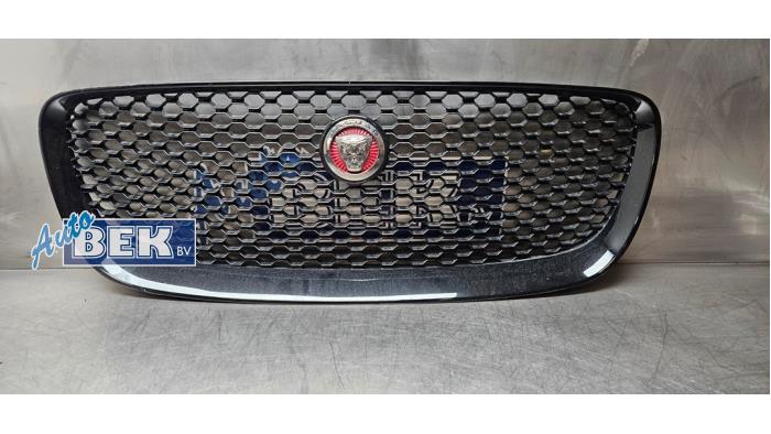 Używane Grill Jaguar F-Pace 2.0 D 180 16V AWD Cena € 225,00 Procedura marży oferowane przez Auto Bek