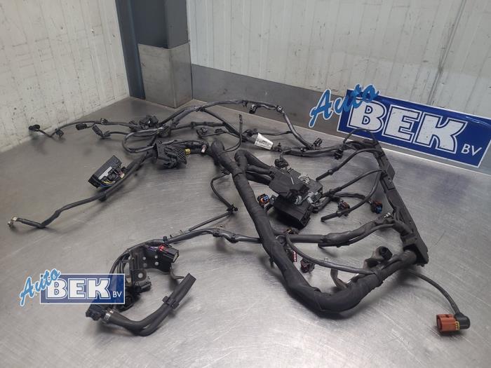 Begagnade Kablage Opel Zafira Tourer (P12) 2.0 CDTI 16V 170 Ecotec Pris på förfrågan erbjuds av Auto Bek