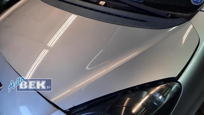 Używane Maska Peugeot 1007 (KM) 1.6 GTI,Gentry 16V Cena € 79,98 Procedura marży oferowane przez Auto Bek