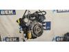 Audi Q7 (4LB) 3.0 TDI V6 24V Motor