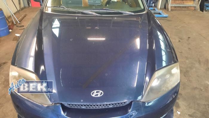 Używane Maska Hyundai Coupe 2.0i 16V CVVT Cena € 95,00 Procedura marży oferowane przez Auto Bek