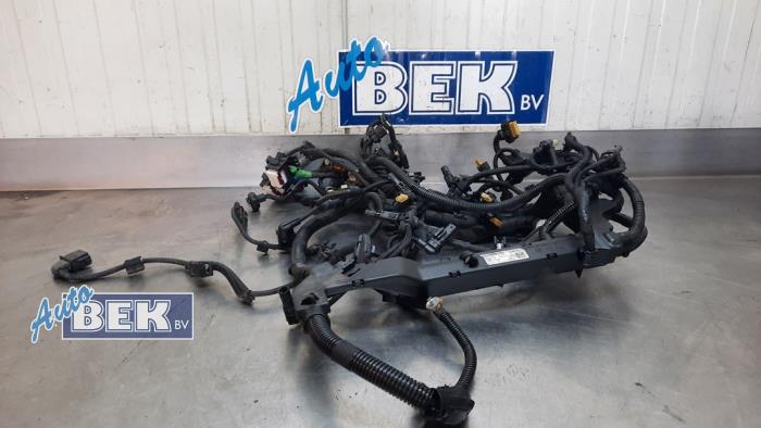 Begagnade Kablage BMW X5 (G05) xDrive M50d 3.0 24V Pris på förfrågan erbjuds av Auto Bek