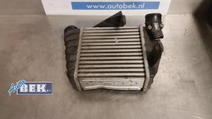 Używane Chlodnica miedzystopniowa Volkswagen Polo IV (9N1/2/3) 1.4 TDI 75 Cena € 60,00 Procedura marży oferowane przez Auto Bek