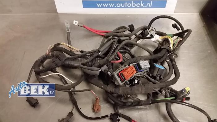 Gebrauchte Kabelbaum Renault Clio III (BR/CR) 1.5 dCi 70 Preis € 25,00 Margenregelung angeboten von Auto Bek
