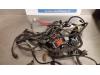 Renault Clio III (BR/CR) 1.5 dCi 70 Wiring harness