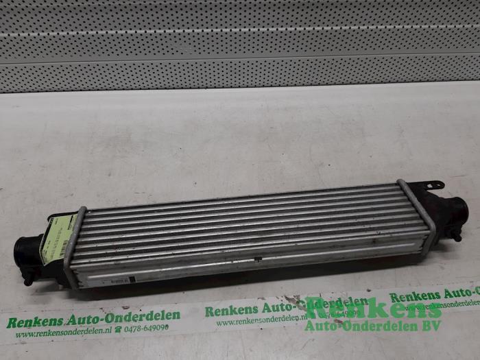 Usados Intercooler Opel Combo 1.6 CDTI 16V Precio € 50,00 Norma de margen ofrecido por Renkens Auto-Onderdelen B.V.