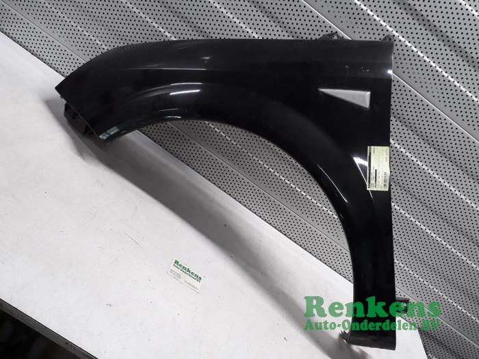 Front wing, left from a Renault Scénic II (JM) 1.9 dCi 120 2004