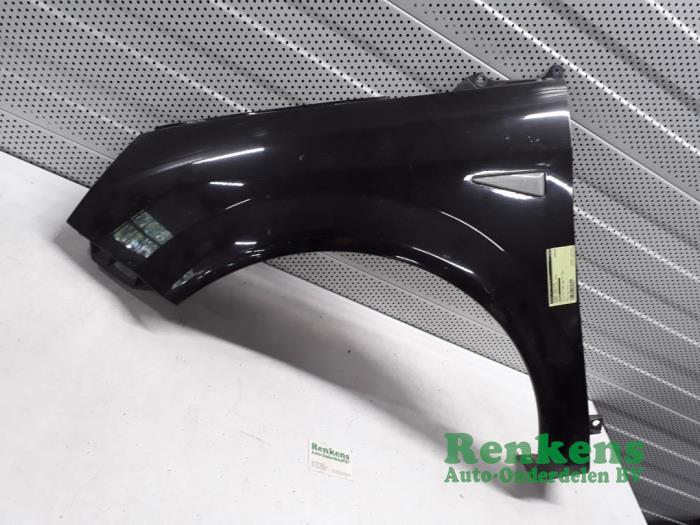 Front wing, left from a Renault Scénic II (JM) 1.9 dCi 120 2004