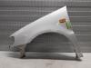 Front wing, left from a Volkswagen Polo III (6N1), 1994 / 1999 1.4i 60, Hatchback, Petrol, 1.390cc, 44kW (60pk), FWD, AKV, 1997-05 / 1999-05, 6N1 1998