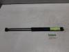 Ford Focus 3 1.0 Ti-VCT EcoBoost 12V 125 Set of tailgate gas struts