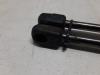 Set of tailgate gas struts from a Ford Focus 1 2.0 16V 2001