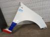 Renault Clio III (BR/CR) 1.5 dCi FAP Front wing, right
