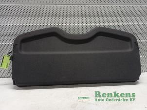 Used Parcel shelf Renault Clio III (BR/CR) 1.2 16V 75 Price € 20,00 Margin scheme offered by Renkens Auto-Onderdelen B.V.