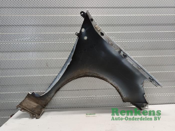 Front wing, left from a Renault Clio III (BR/CR) 1.5 dCi FAP 2012