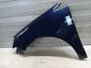 Front wing, left from a Volkswagen Polo IV (9N1/2/3), 2001 / 2012 1.4 16V 75, Hatchback, Petrol, 1.390cc, 55kW (75pk), FWD, BKY, 2004-05 / 2008-05, 9N2; 3 2007