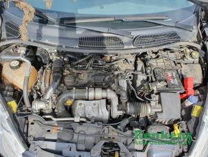 Gebrauchte Motor Ford Fiesta 6 (JA8) 1.6 TDCi 16V 95 Preis auf Anfrage angeboten von Renkens Auto-Onderdelen B.V.