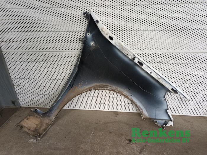 Front wing, left from a Renault Clio III (BR/CR) 1.5 dCi FAP 2011