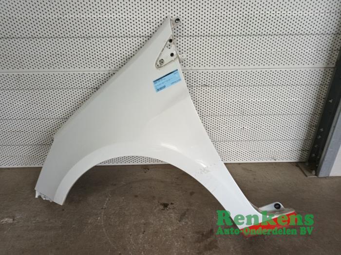 Front wing, left from a Renault Clio III (BR/CR) 1.5 dCi FAP 2011