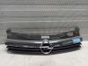 Opel Astra H (L48) 1.6 16V Twinport Grille