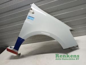 Used Front wing, right Renault Clio III (BR/CR) 1.5 dCi FAP Price € 50,00 Margin scheme offered by Renkens Auto-Onderdelen B.V.
