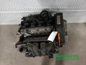 Usados Motor Volkswagen Polo IV (9N1/2/3) 1.4 16V 75 Precio de solicitud ofrecido por Renkens Auto-Onderdelen B.V.
