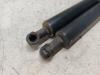 Nissan NV 200 Evalia (M20M) 1.5 dCi 110 Set of tailgate gas struts