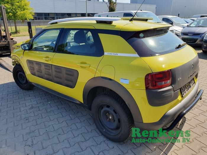 Citroen C4 Cactus Seitenpaneele links hinten Vorrat