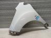 Chevrolet Spark (M300) 1.0 16V Bifuel Protector izquierda delante