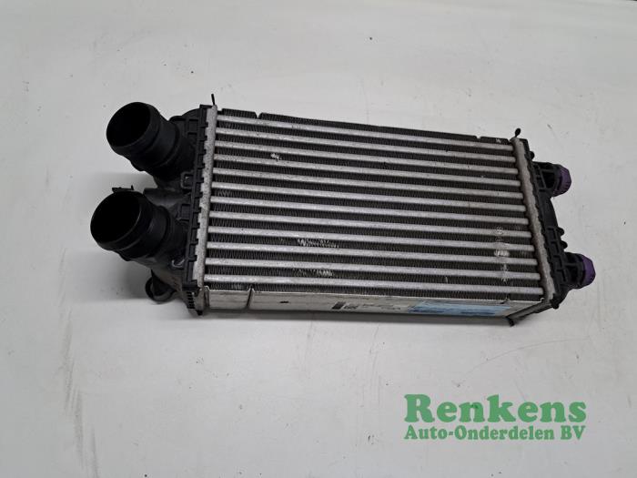 Usagé Intercooler Opel Corsa F (UB/UH/UP) 1.2 Turbo 12V 100 Prix € 50,00 Règlement à la marge proposé par Renkens Auto-Onderdelen B.V.