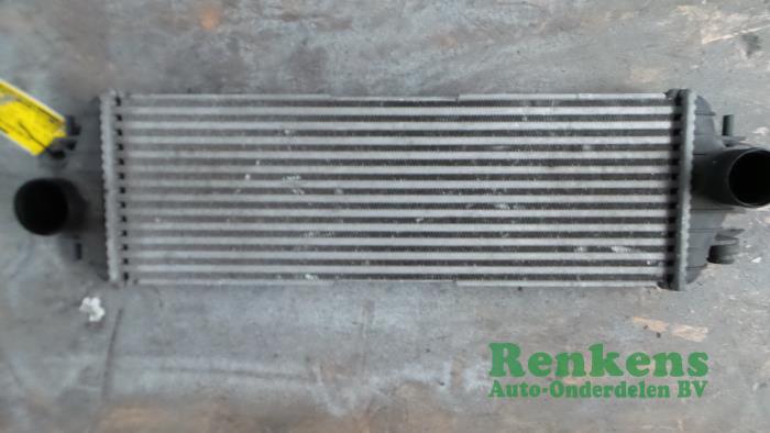 Usados Intercooler Opel Vivaro 1.9 DTI 16V Precio € 50,00 Norma de margen ofrecido por Renkens Auto-Onderdelen B.V.