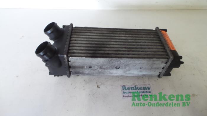 Usados Intercooler Peugeot 307 Break (3E) 1.6 HDiF 110 16V Precio € 40,00 Norma de margen ofrecido por Renkens Auto-Onderdelen B.V.