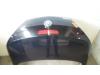 Tailgate from a Opel Tigra Twin Top 1.4 16V 2008