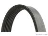 Drive belt from a Volvo V70 2009