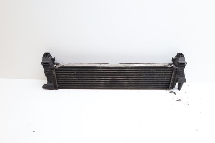 Intercooler d'un Mercedes-Benz Vito (447.6) 1.6 111 CDI 16V 2016