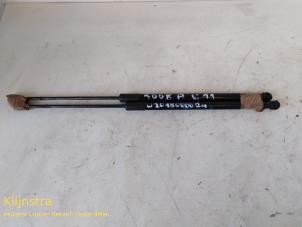 Used Set of gas struts for boot Peugeot 5008 I (0A/0E) Price on request offered by Fa. Klijnstra & Zn. VOF