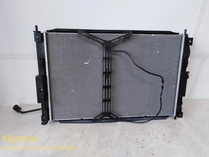 Usagé Radiateur Peugeot 3008 Prix sur demande proposé par Fa. Klijnstra & Zn. VOF