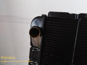 Calandre droite PEUGEOT 505 Occasion Pas Cher