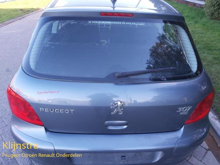 Tylna klapa z Peugeot 307 (3A/C/D) 1.6 HDi 16V 2006