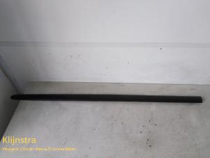 Used Door strip Peugeot 206 (2A/C/H/J/S) 1.1 XN,XR Price on request offered by Fa. Klijnstra & Zn. VOF