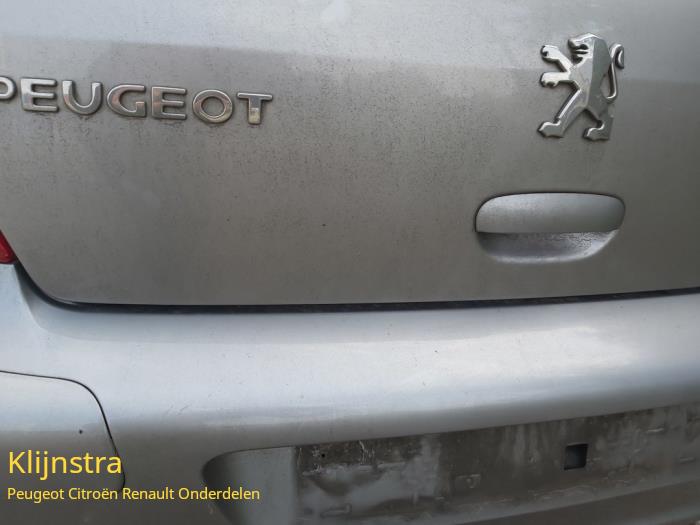 Tylna klapa z Peugeot 307 (3A/C/D) 2.0 HDi 90 2005