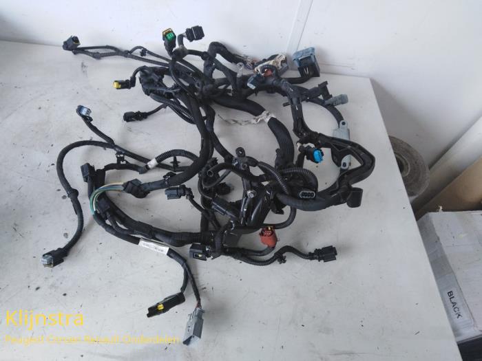 Wiring harness from a Peugeot 2008 (CU)  2013