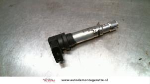 Gebrauchte Stift Zündspule Seat Ibiza III (6L1) 1.2 12V Preis auf Anfrage angeboten von Autodemontage M.J. Rutte B.V.