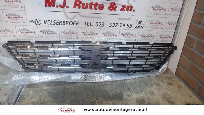 Grille from a Peugeot 308 2013