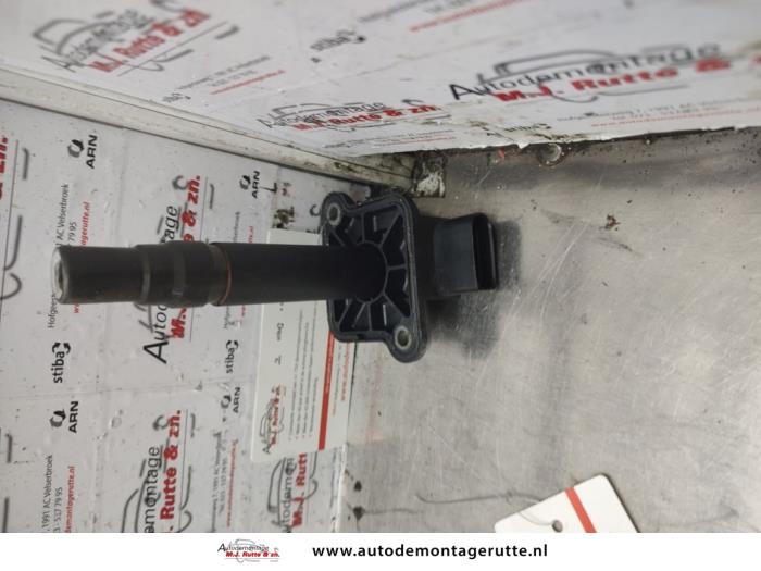 Stift Zündspule Audi A6 Avant Quattro (C5), 1997 / 2005 4.2 40V, Kombi/o, Benzin, 4.172cc, 220kW (299pk), 4x4, ARS, 1998-11 / 2001-05, 4B5 (Gebraucht)