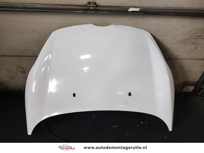 Używane Maska Ford Fiesta 6 (JA8) 1.6 TDCi 16V 90 Cena € 175,00 Procedura marży oferowane przez Autodemontage M.J. Rutte B.V.
