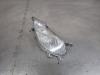Porsche Cayenne (9PA) 3.2 V6 24V Richtungsanzeiger links