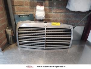 Used Grille Mercedes E (C124) 2.0 200 CE Price on request offered by Autodemontage M.J. Rutte B.V.