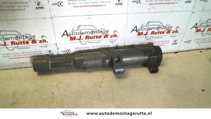 Gebrauchte Stift Zündspule Renault Laguna II (BG) 1.6 16V Preis auf Anfrage angeboten von Autodemontage M.J. Rutte B.V.