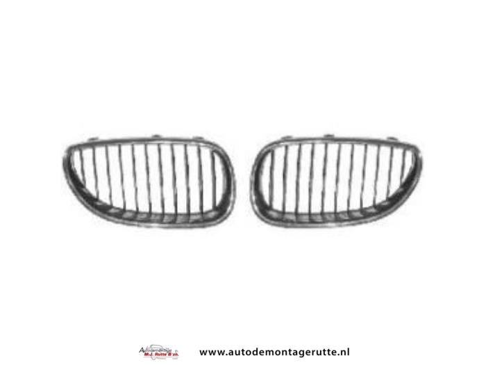 Grille from a BMW 5 serie (E60) 530i 24V 2004