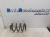 Renault Clio III (BR/CR) 1.5 dCi 70 Rear coil spring